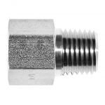 Adaptor female NPT - male NPT 